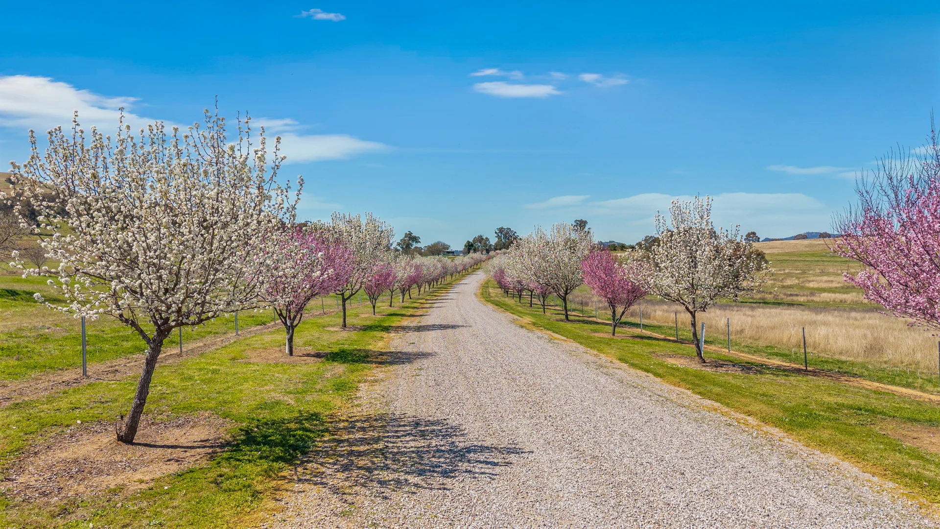 Additional image 9 of 13632 New England Highway, Tamworth NSW 2340