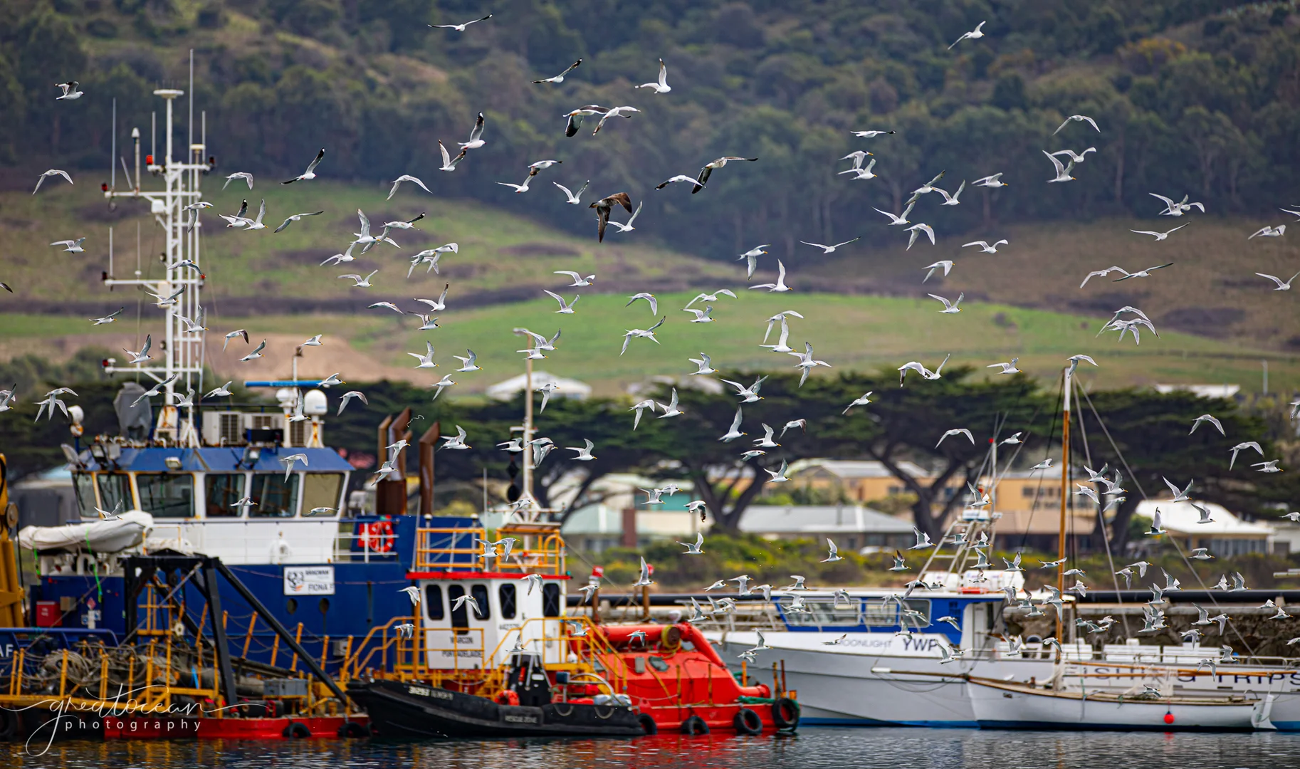 Additional image 10 of 2/21 Pengilley Avenue, Apollo Bay VIC 3233