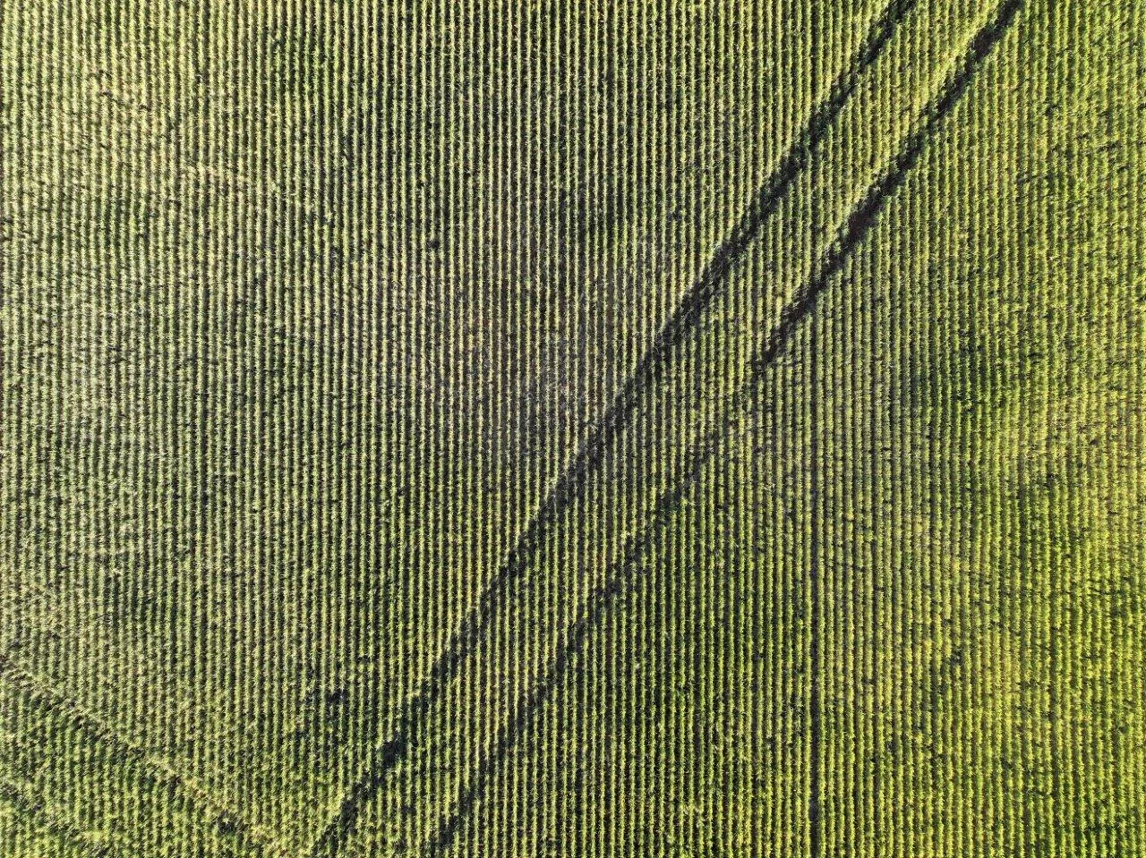 Additional image 5 of Part Westbury Goldfields Way, Barmedman NSW 2668