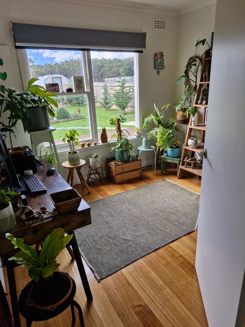 Additional image 29 of 41 Gray Road, St Marys TAS 7215