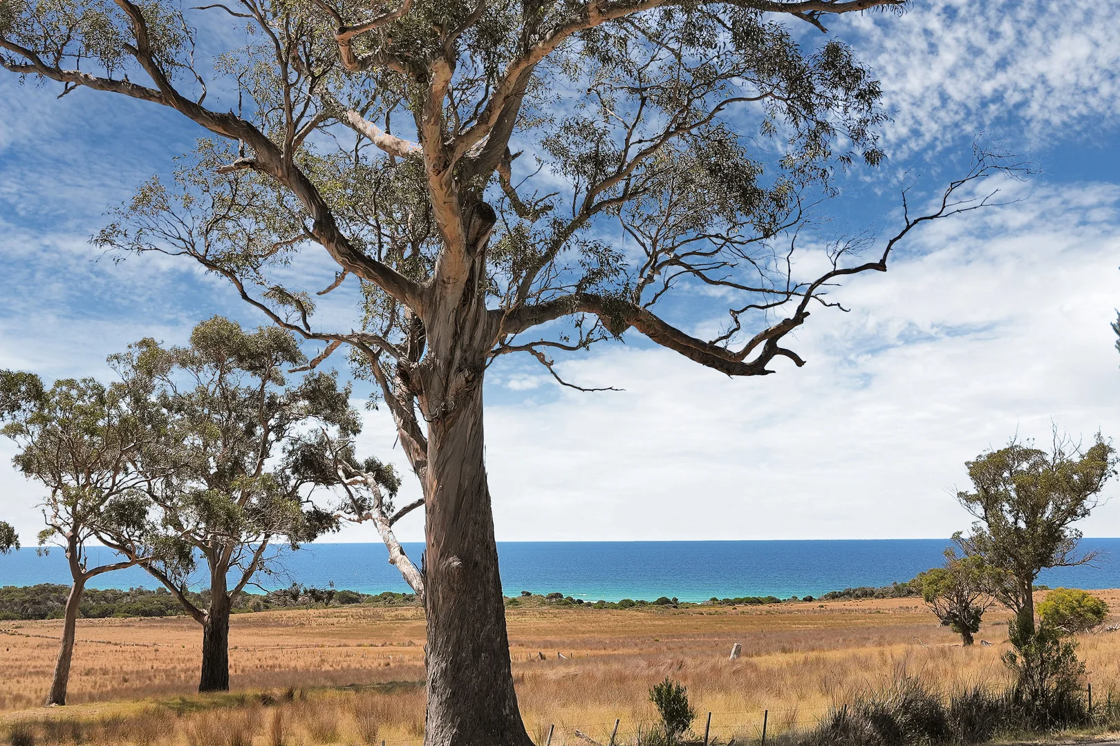 Additional image 10 of 18127 Tasman Highway, Bicheno TAS 7215