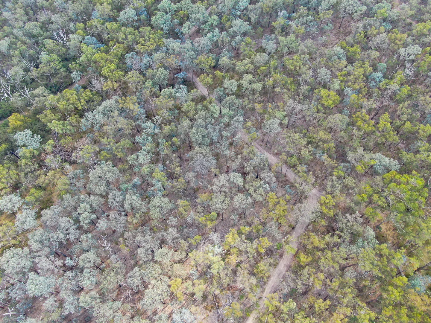 Additional image 5 of 71 Knackery Road, Valencia Creek VIC 3860