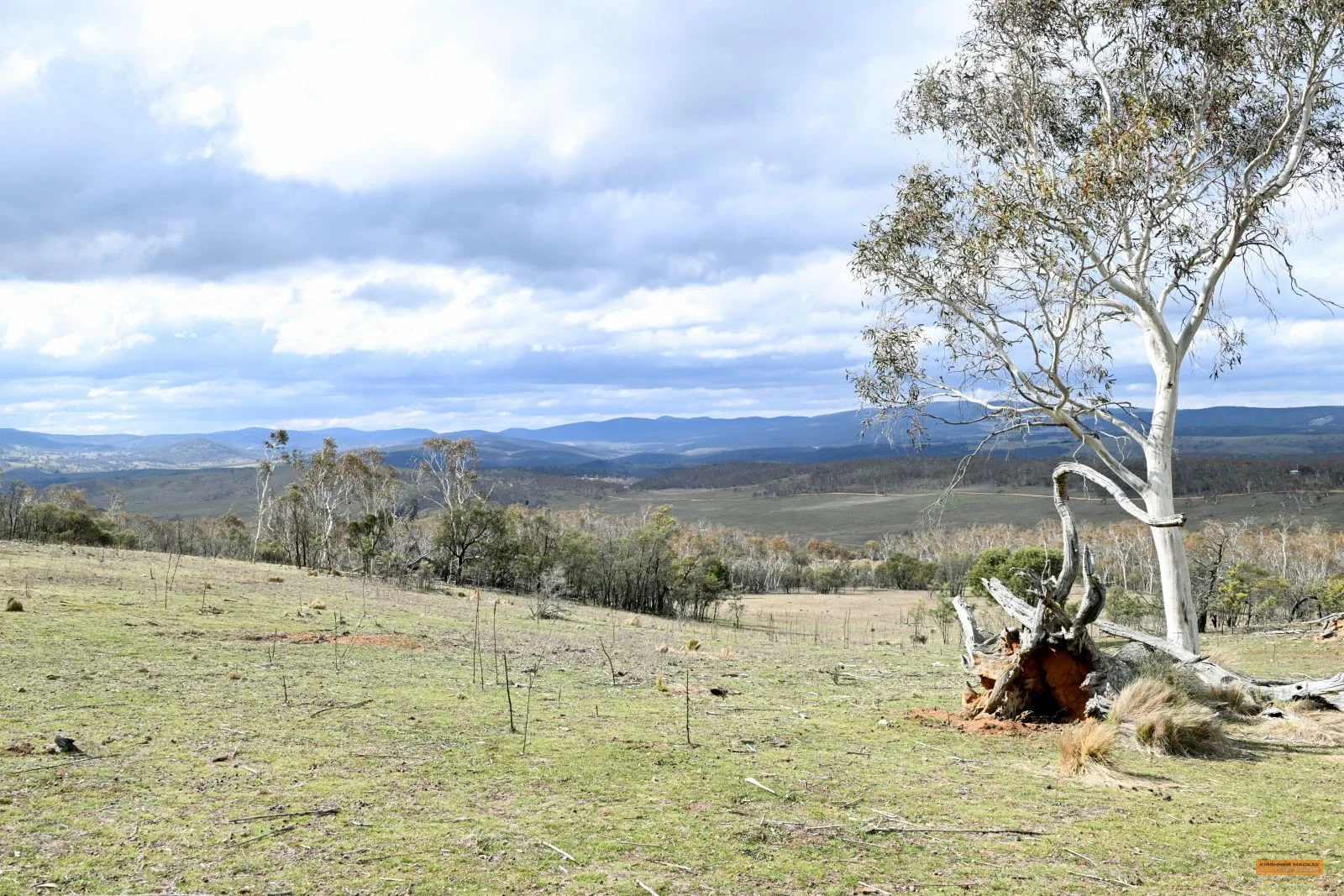 Additional image 31 of "Eagle Heights" 636 Caddigat Road, Dry Plain NSW 2630