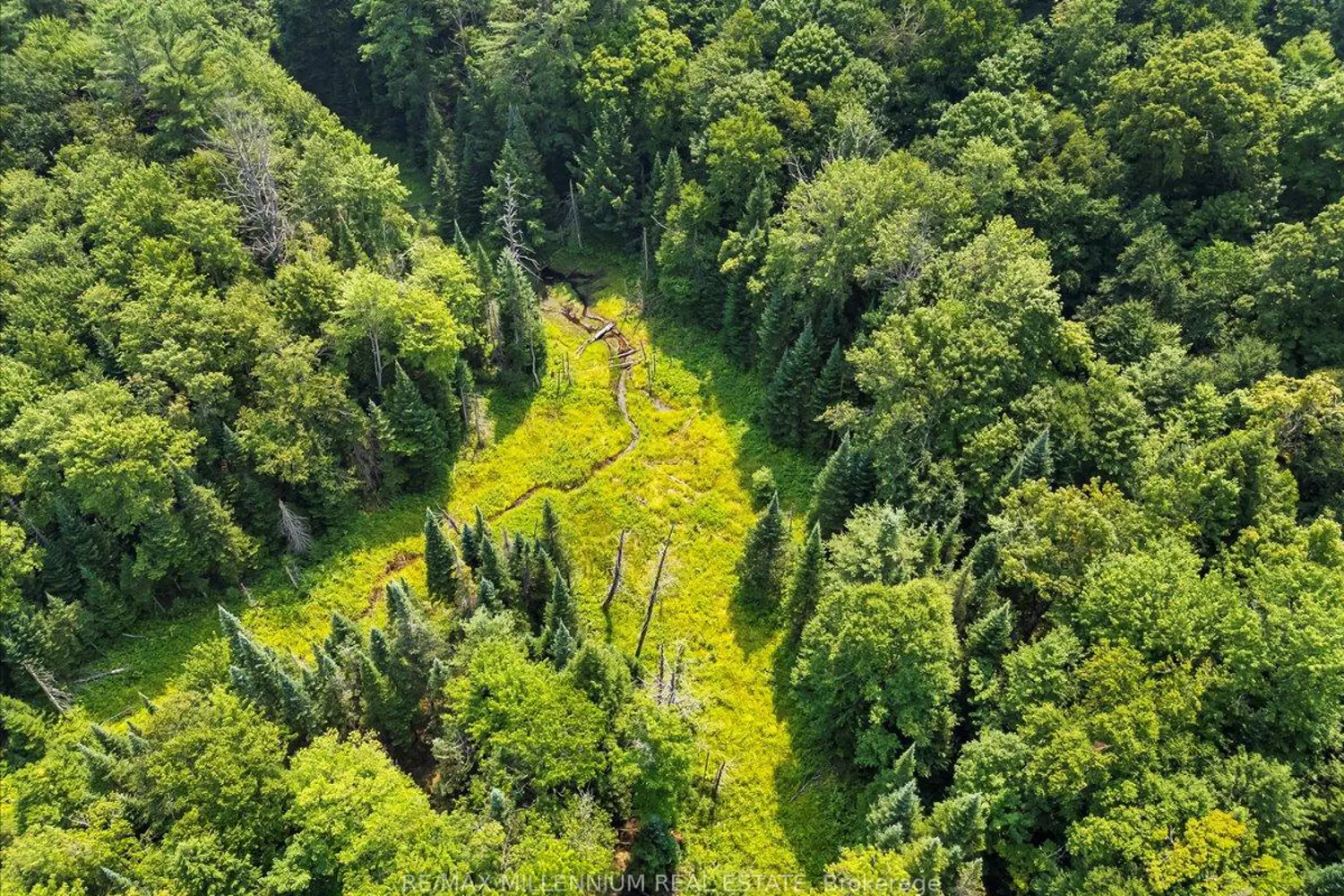 Additional image 6 of 3529 Highway Highway 118