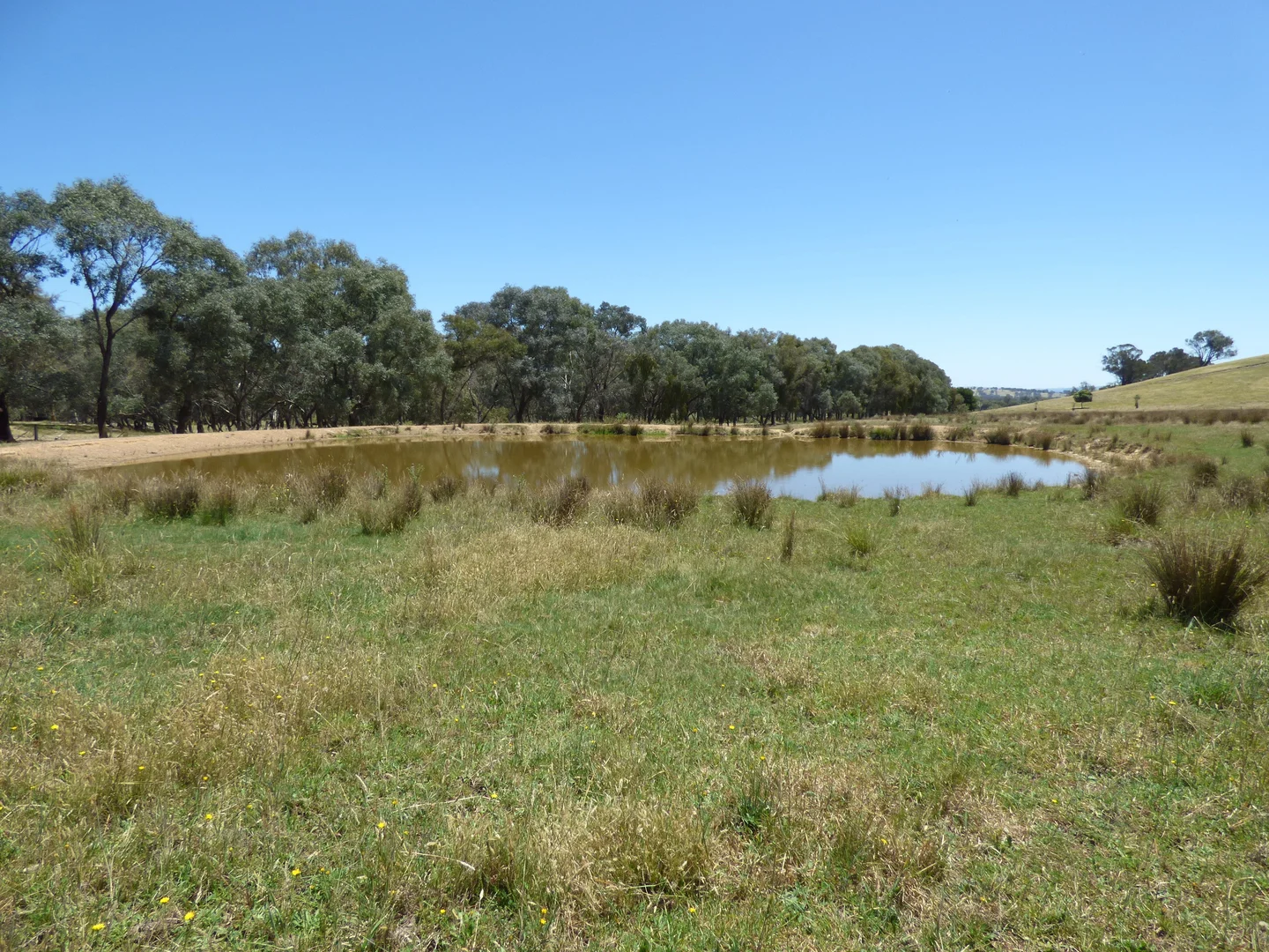 Additional image 16 of 409 McInnes Lane, Bobinawarrah VIC 3678