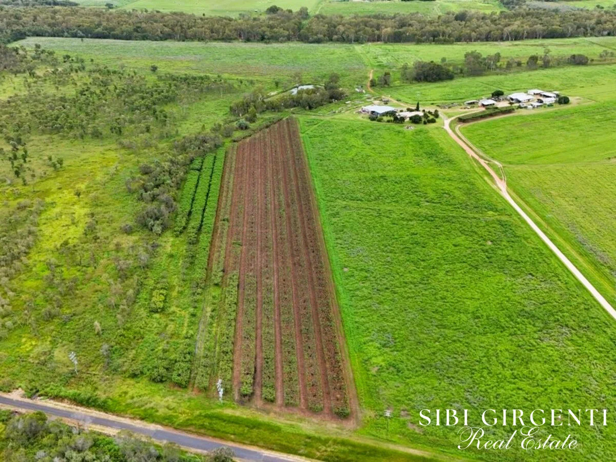 Additional image 29 of 994 Leafgold Weir Road, Dimbulah QLD 4872