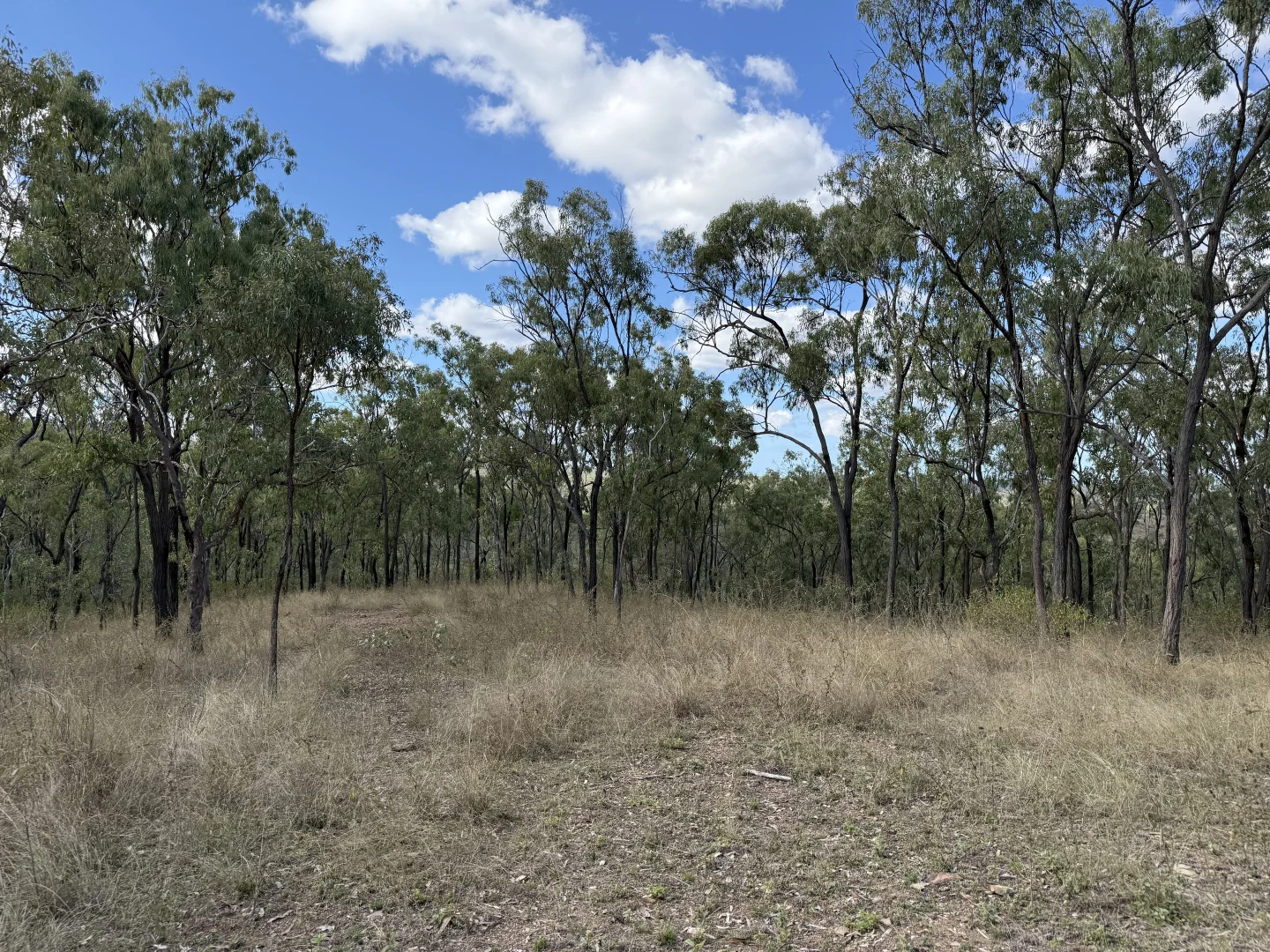 Additional image 16 of 471 Neill Creek Road, Wooderson QLD 4680