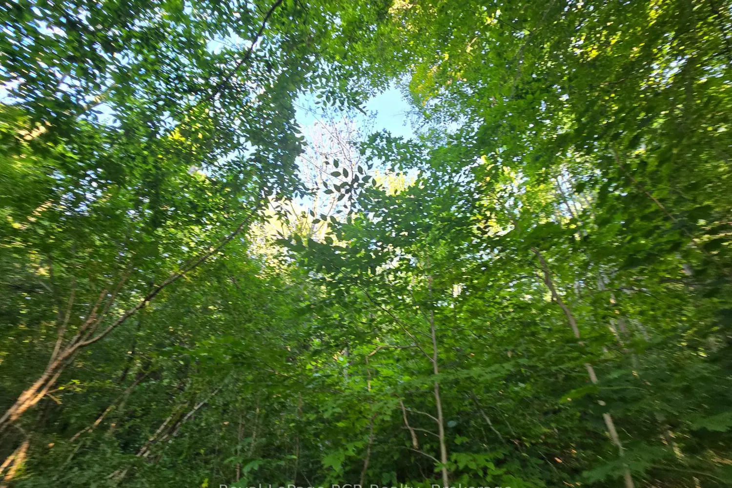 Additional image 2 of 126 Old Highway 26 Highway