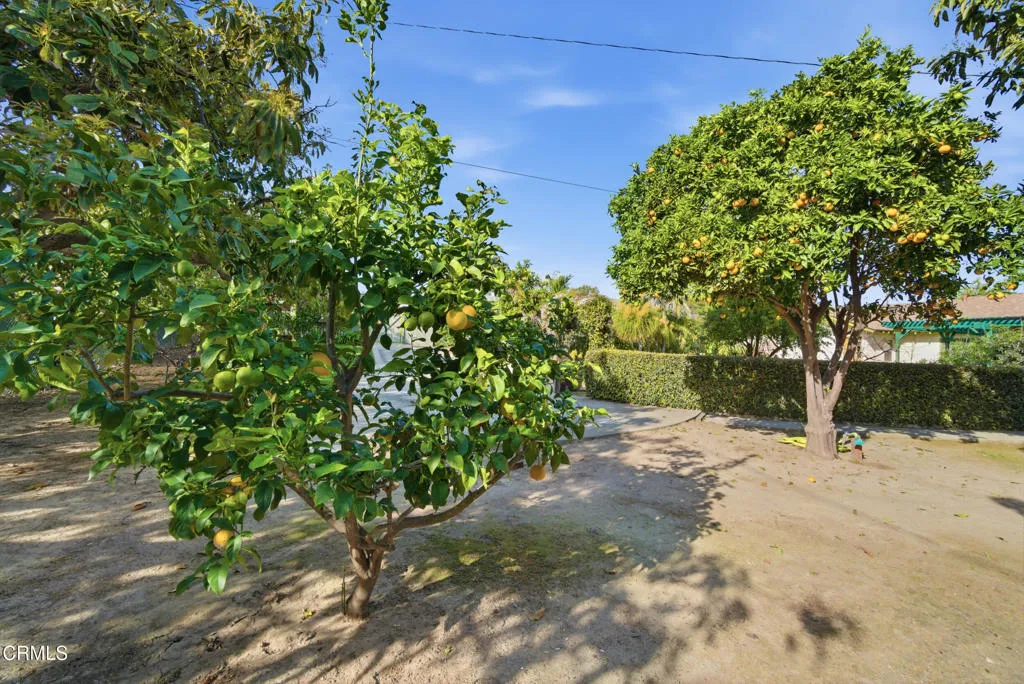 Additional image 96 of 189 Teloma Drive, Ventura, CA 93003