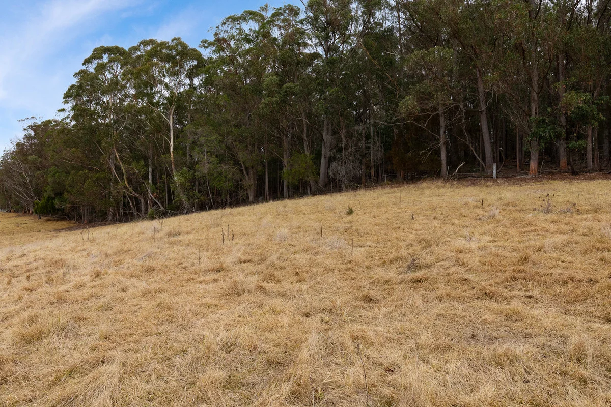 Additional image 7 of 17 Eucalyptus Lane, Lochiel NSW 2549