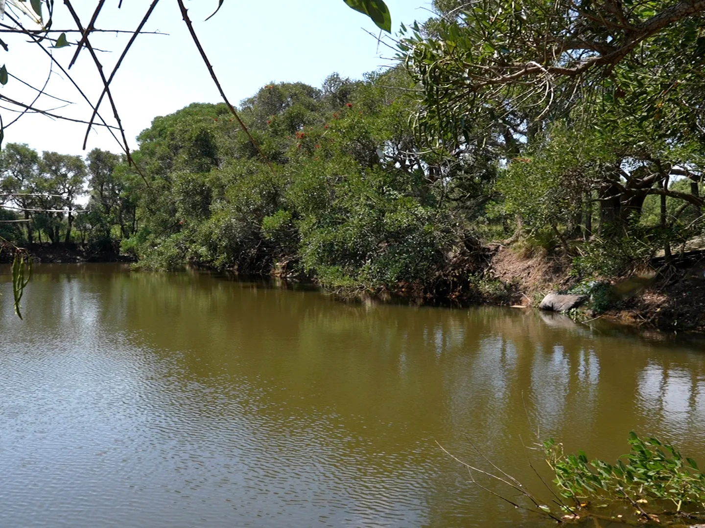 Additional image 15 of 279 Gundurimba Road, Monaltrie NSW 2480