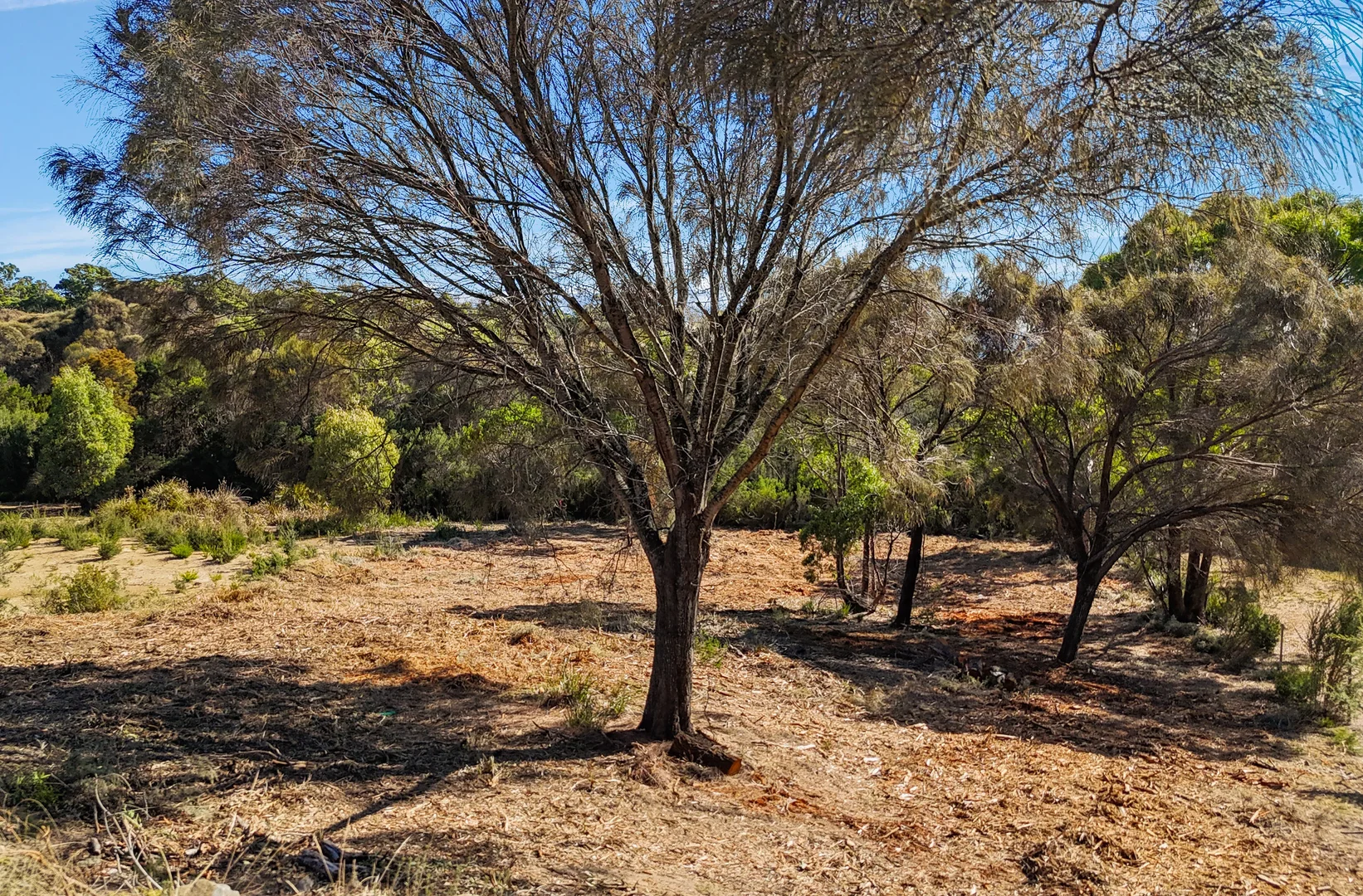 Additional image 9 of 20 Pars Road, Greens Beach TAS 7270