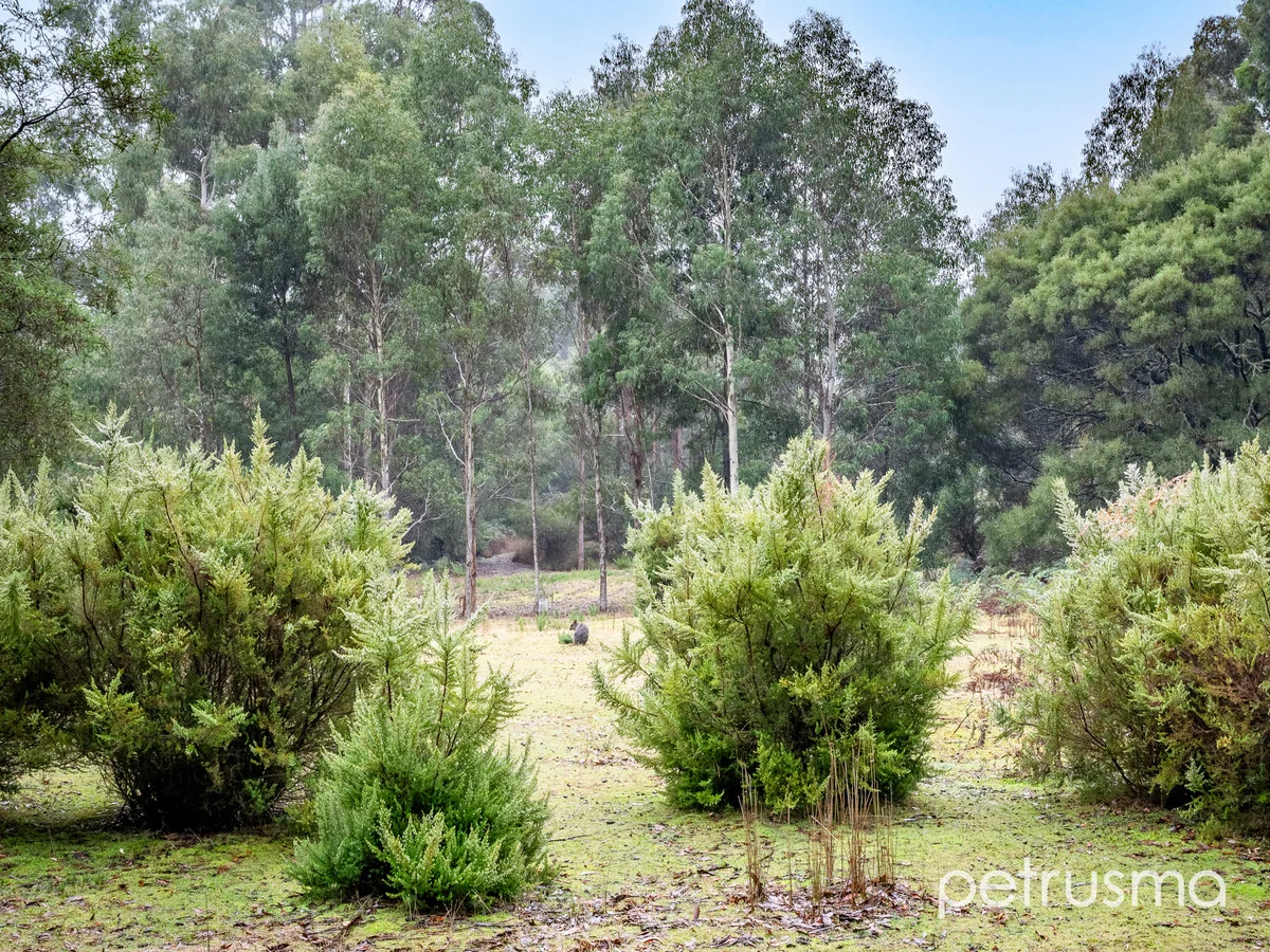 Additional image 8 of 370 Cloudy Bay Road, South Bruny TAS 7150
