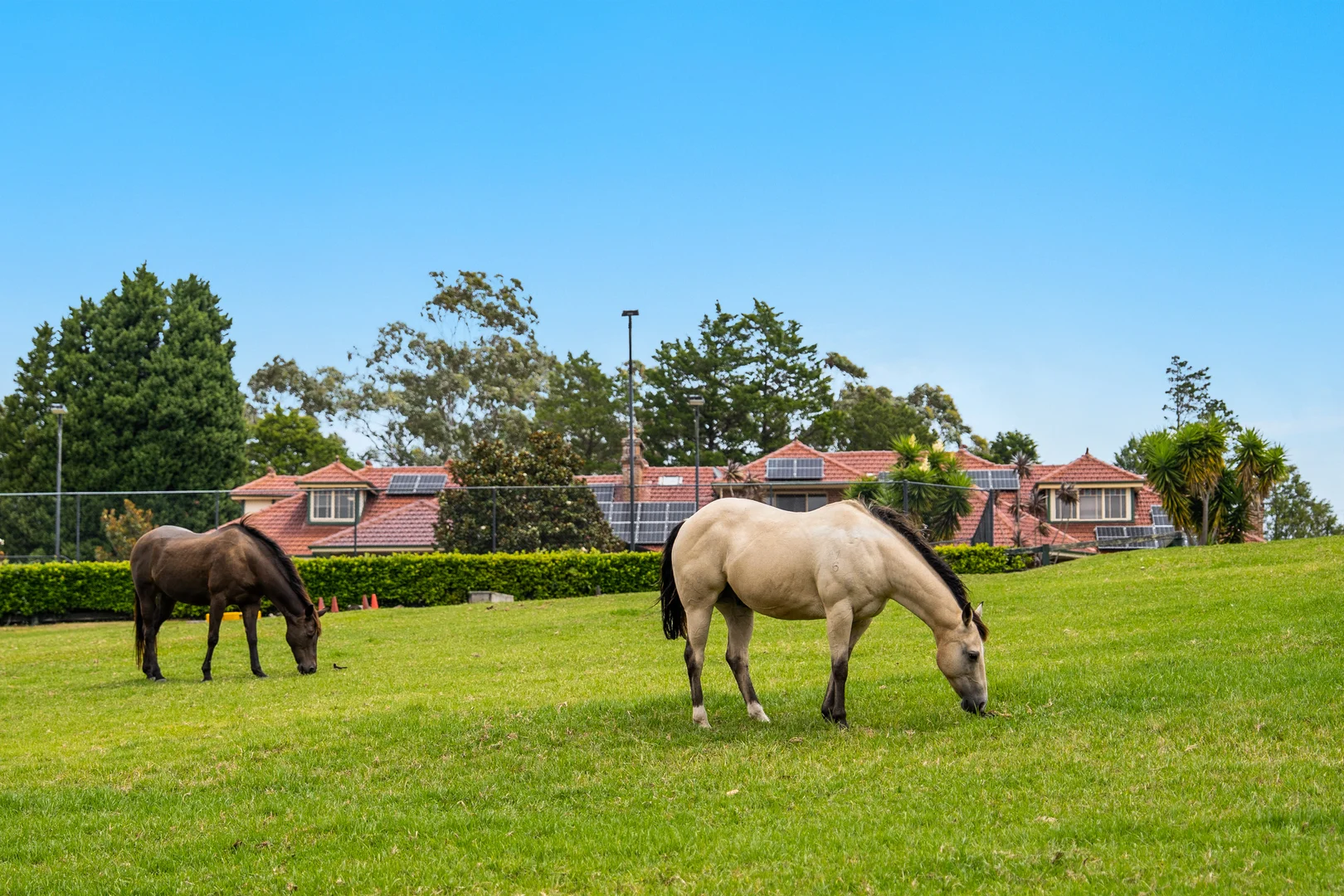 Additional image 31 of 10 Bayfield Road, Galston NSW 2159
