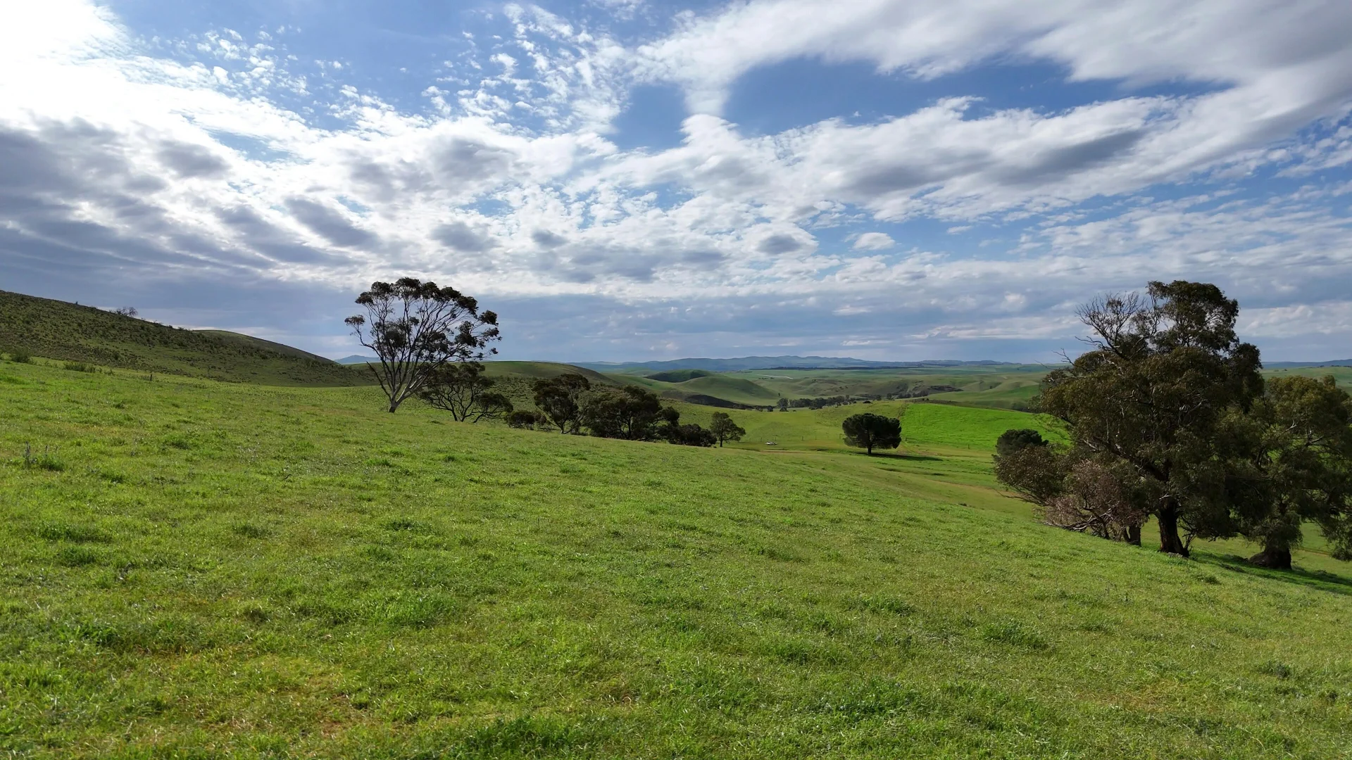 Additional image 8 of 'Broughton Valley' 1 Euromina Road, Broughton River Valley SA 5454