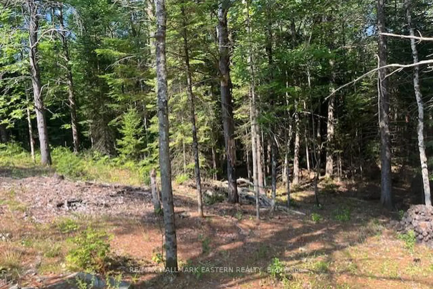 Additional image 6 of 942 Balmer Road
