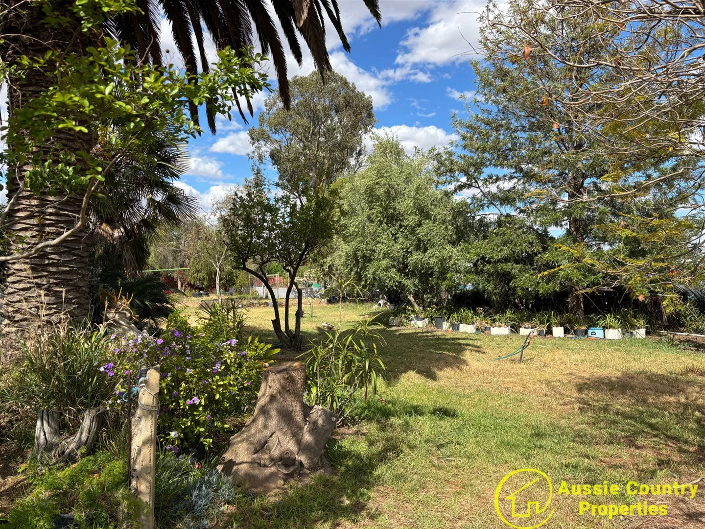 Additional image 16 of 40 Jerilderie Street, Berrigan NSW 2712