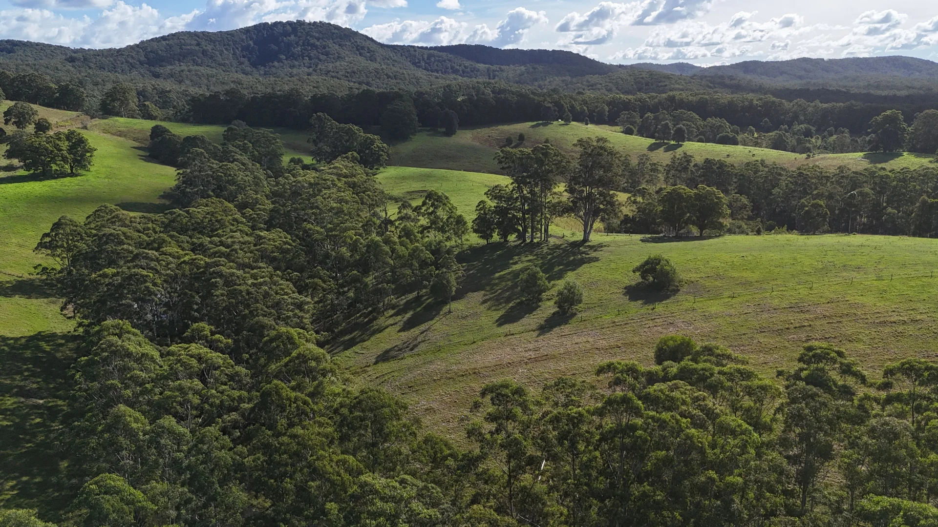 Additional image 5 of 1433 Wootton Way, Wootton NSW 2423