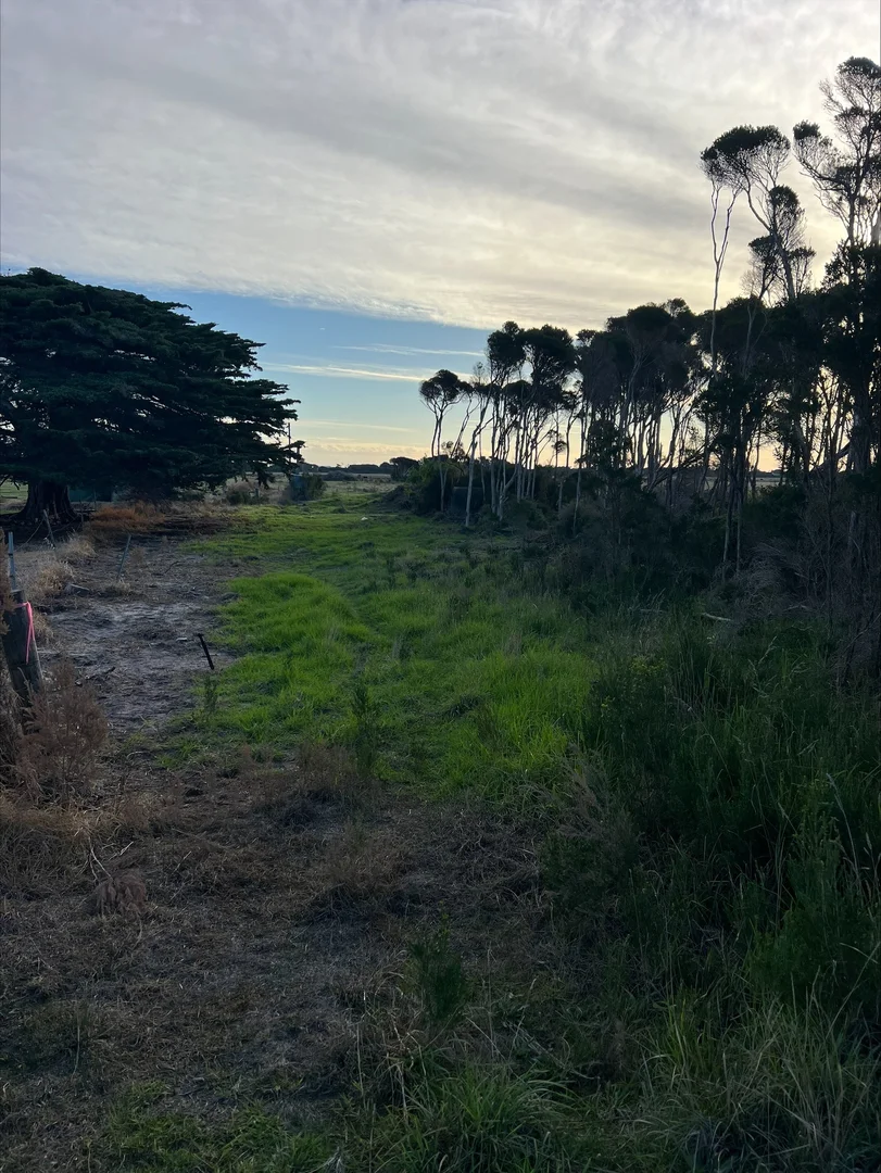 Additional image 12 of . Butter Factory Road, Whitemark TAS 7255