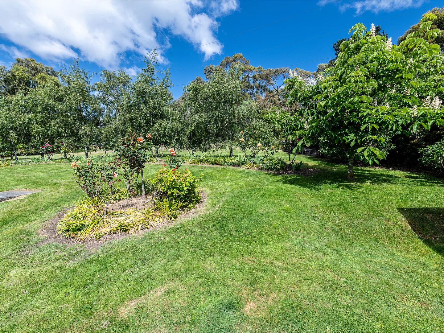 Additional image 27 of 113 Sandfly Road, Margate TAS 7054