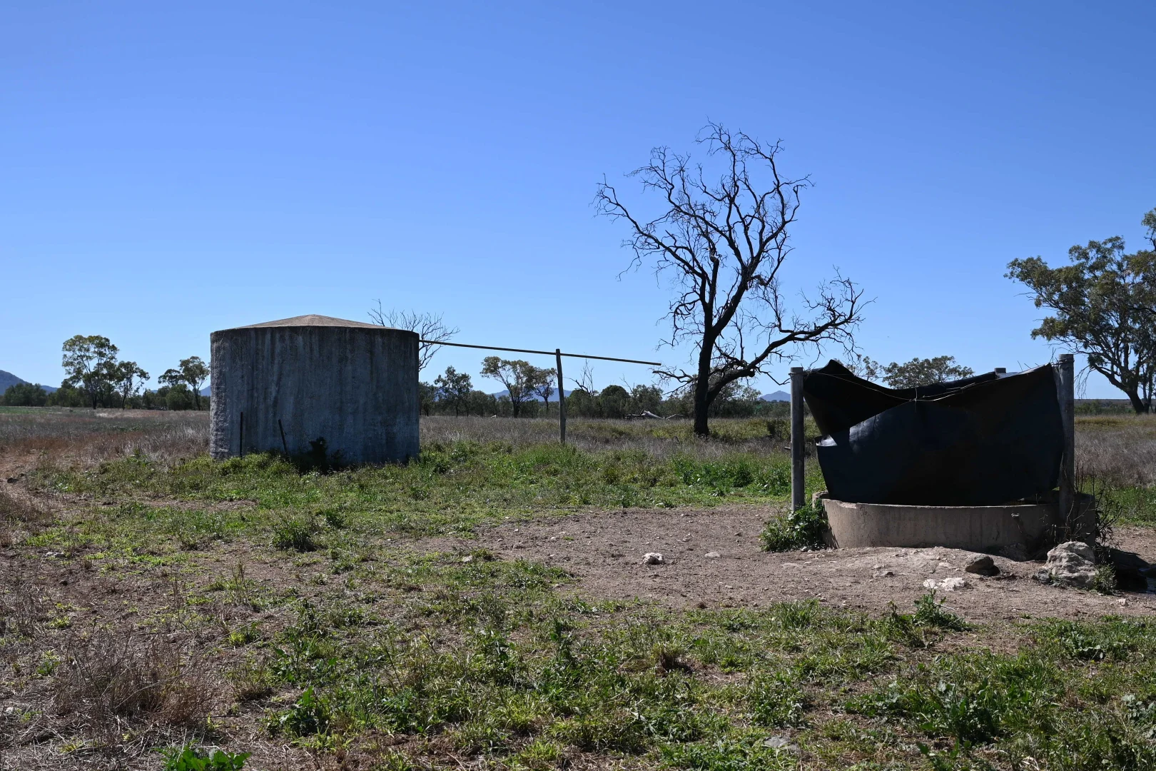 Additional image 14 of 102 Lowestoff Road, Capella QLD 4723