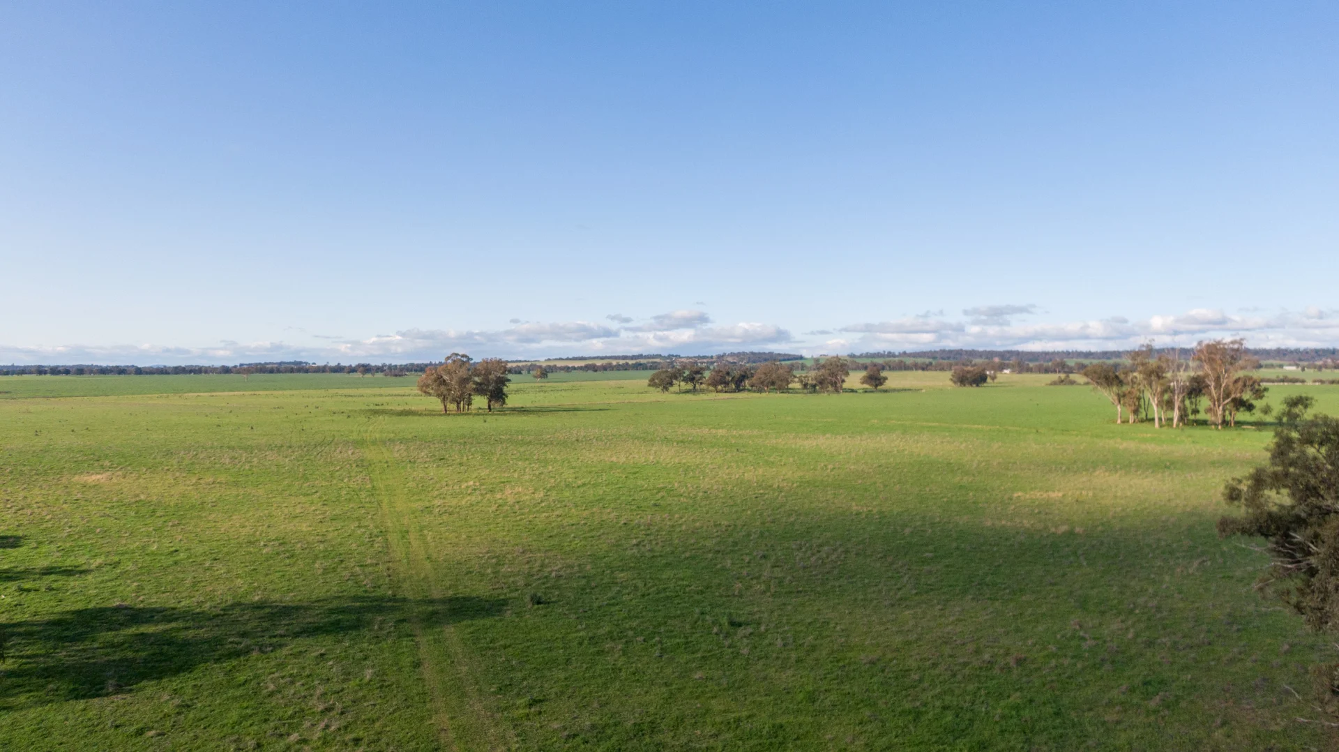 Additional image 7 of Kincora & Poachers Millwood Road, Coolamon NSW 2701