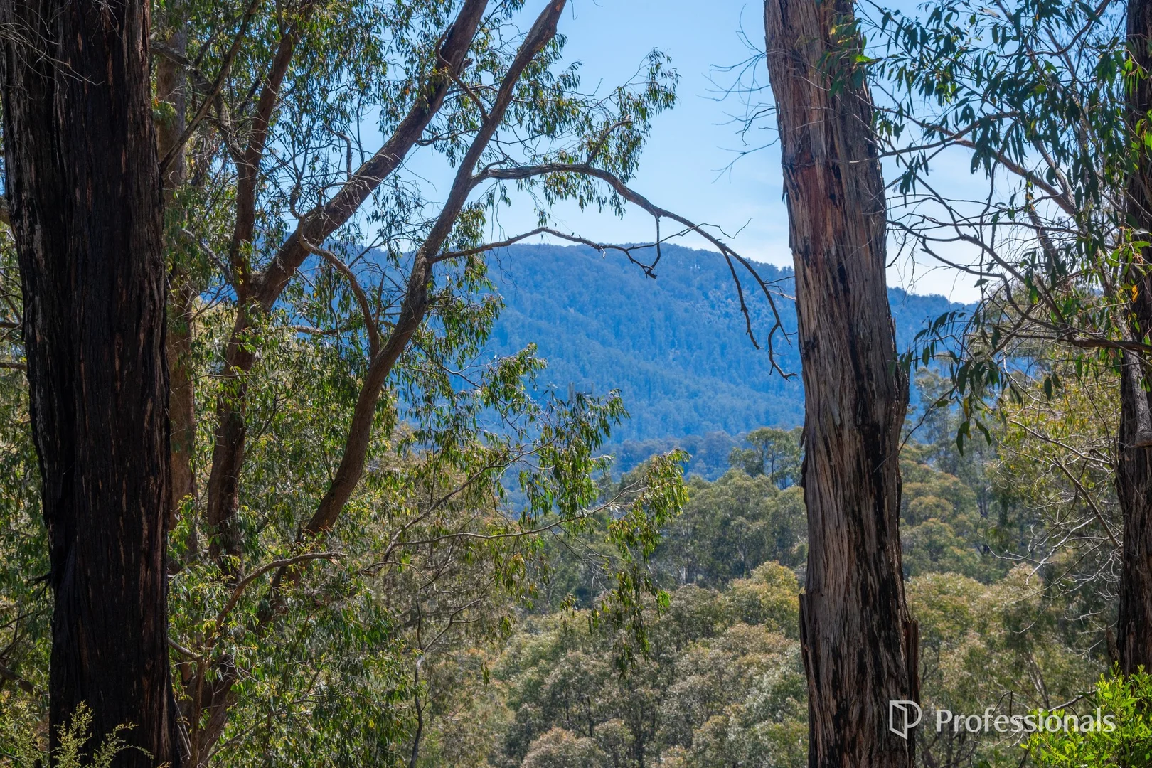 Additional image 18 of 3 Hillcrest Drive, McMahons Creek VIC 3799