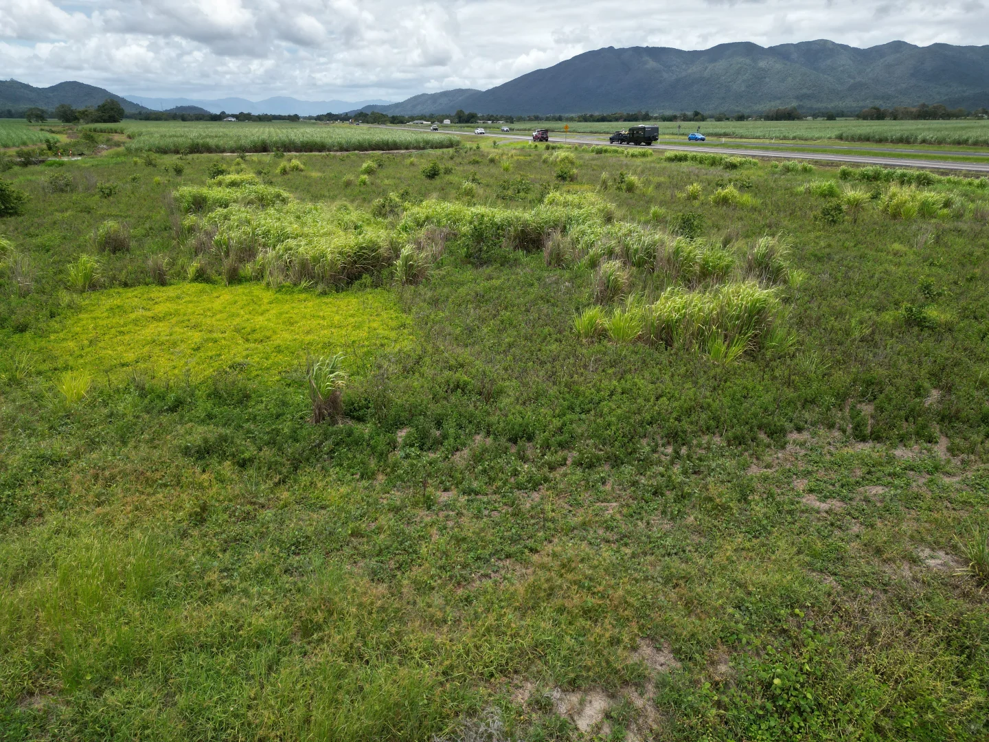 Additional image 10 of 155 Bruce Highway, Feluga QLD 4854