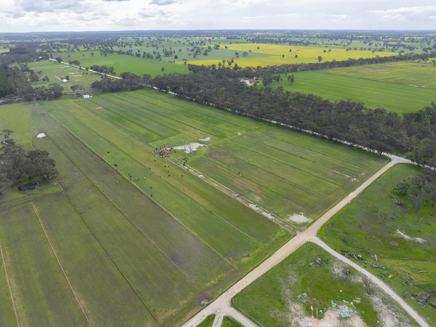 Additional image 15 of 1427 Naracoorte Road, Bordertown SA 5268