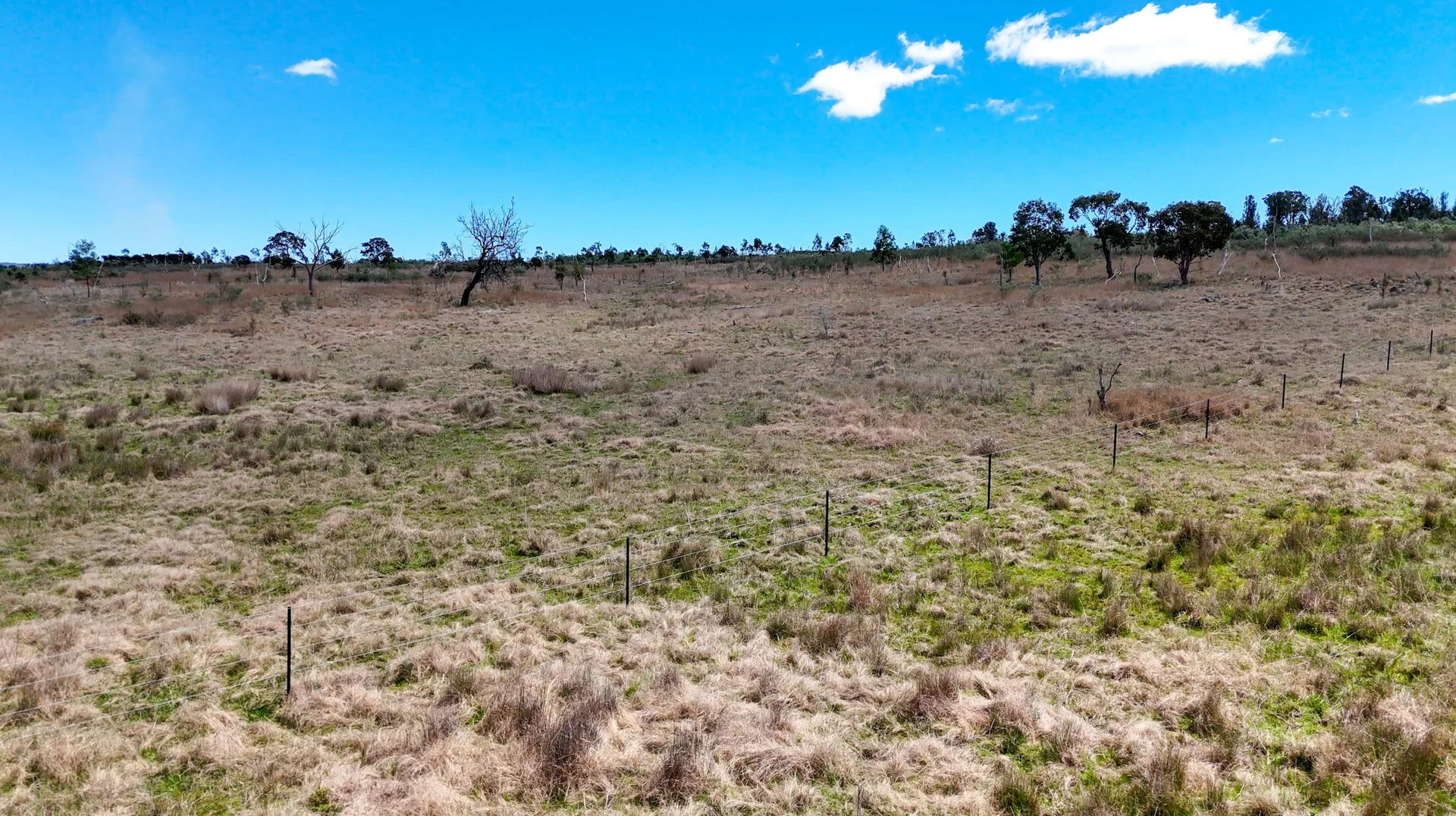 Additional image 2 of 94 Tarban Road, Tenterfield NSW 2372