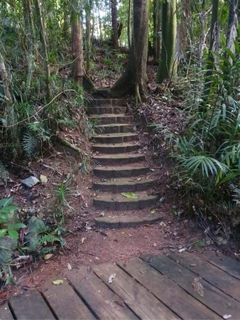 Additional image 38 of 6 Lennox Crescent, Paluma QLD 4816