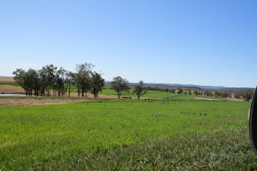 Additional image 10 of 329 Pickfords Road, Yetman NSW 2410