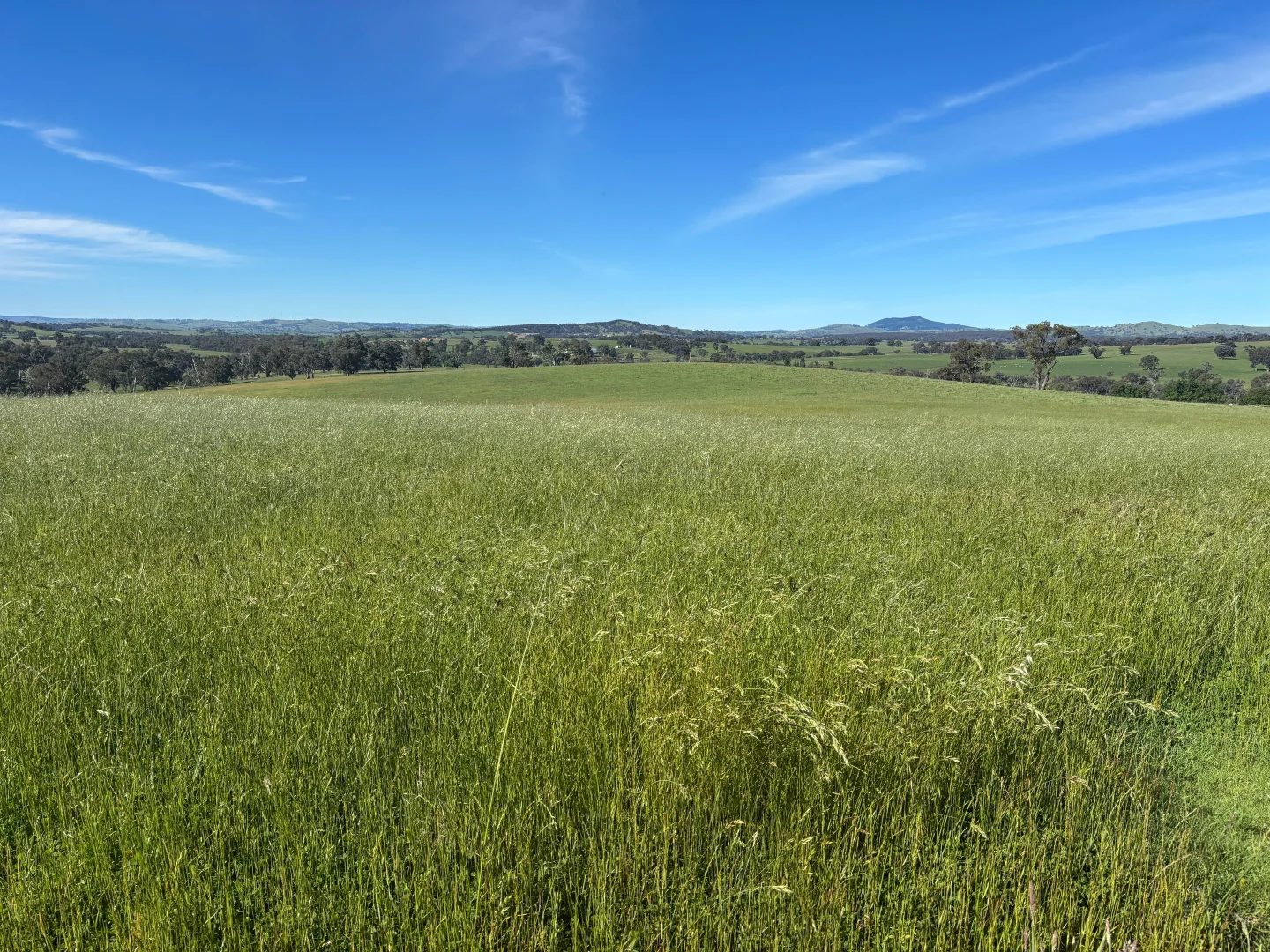 Additional image 5 of 1050 Garland Road, Garland NSW 2797