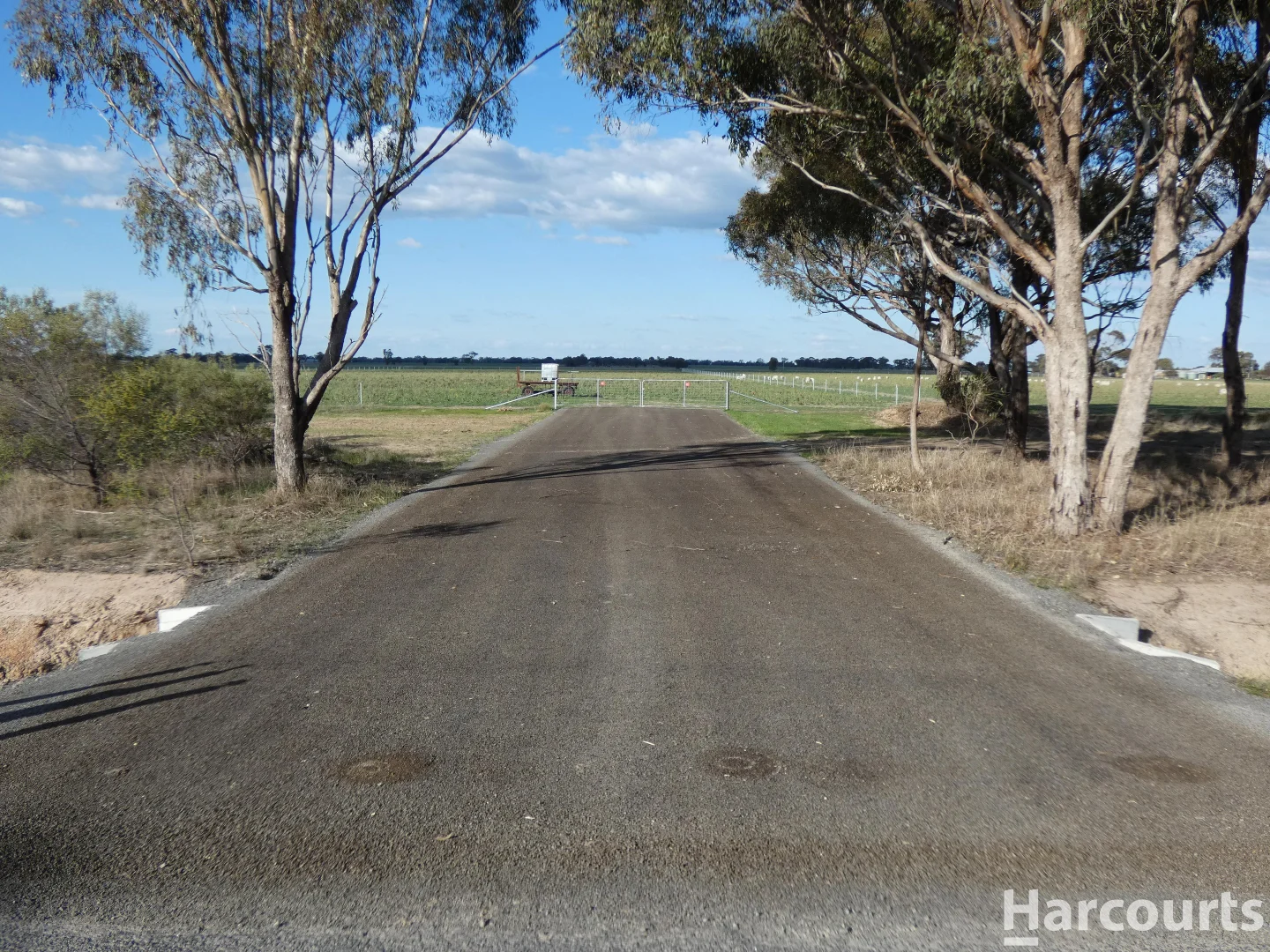 Additional image 5 of 429 Old Hamilton Road, Haven VIC 3401