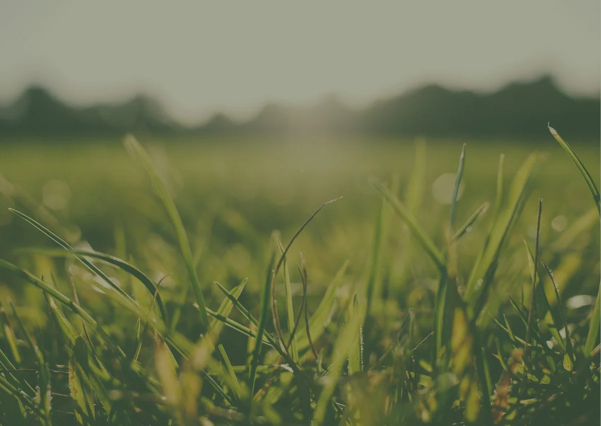 32 Holberry Street, Fraser Rise VIC 3336