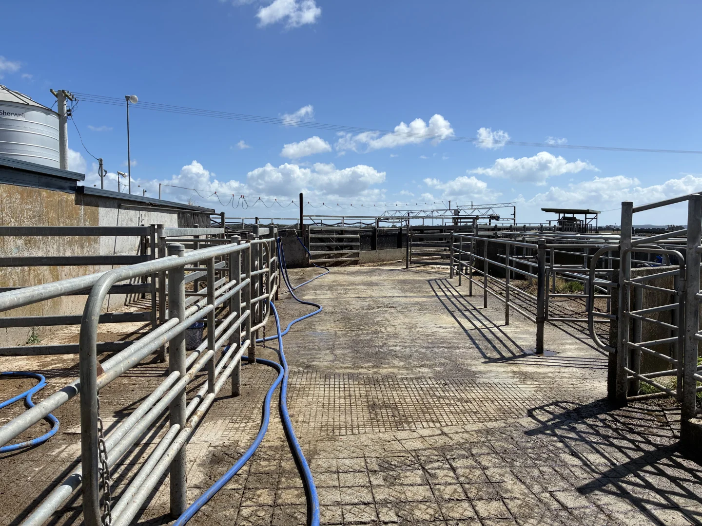 Additional image 15 of 129 & 131 Bens Hill Road, Montagu TAS 7330