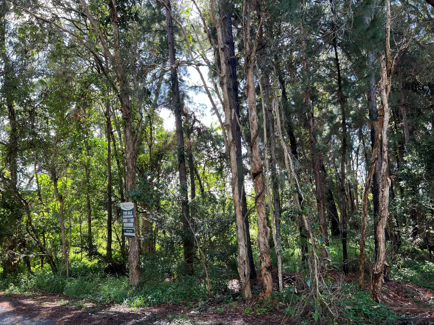 Additional image 5 of 15 Hawthornden Dr, Russell Island QLD 4184