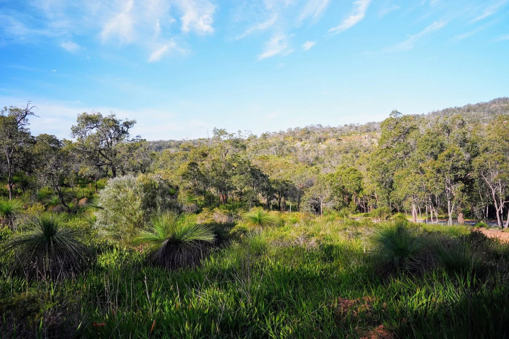 245 Pechey Road, Swan View WA 6056