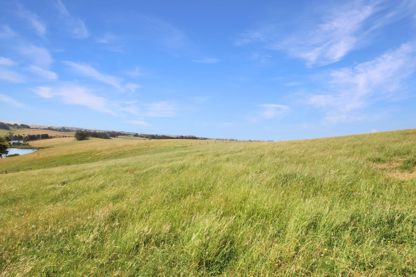 Additional image 16 of 3233 Strzelecki Highway, Mirboo North VIC 3871