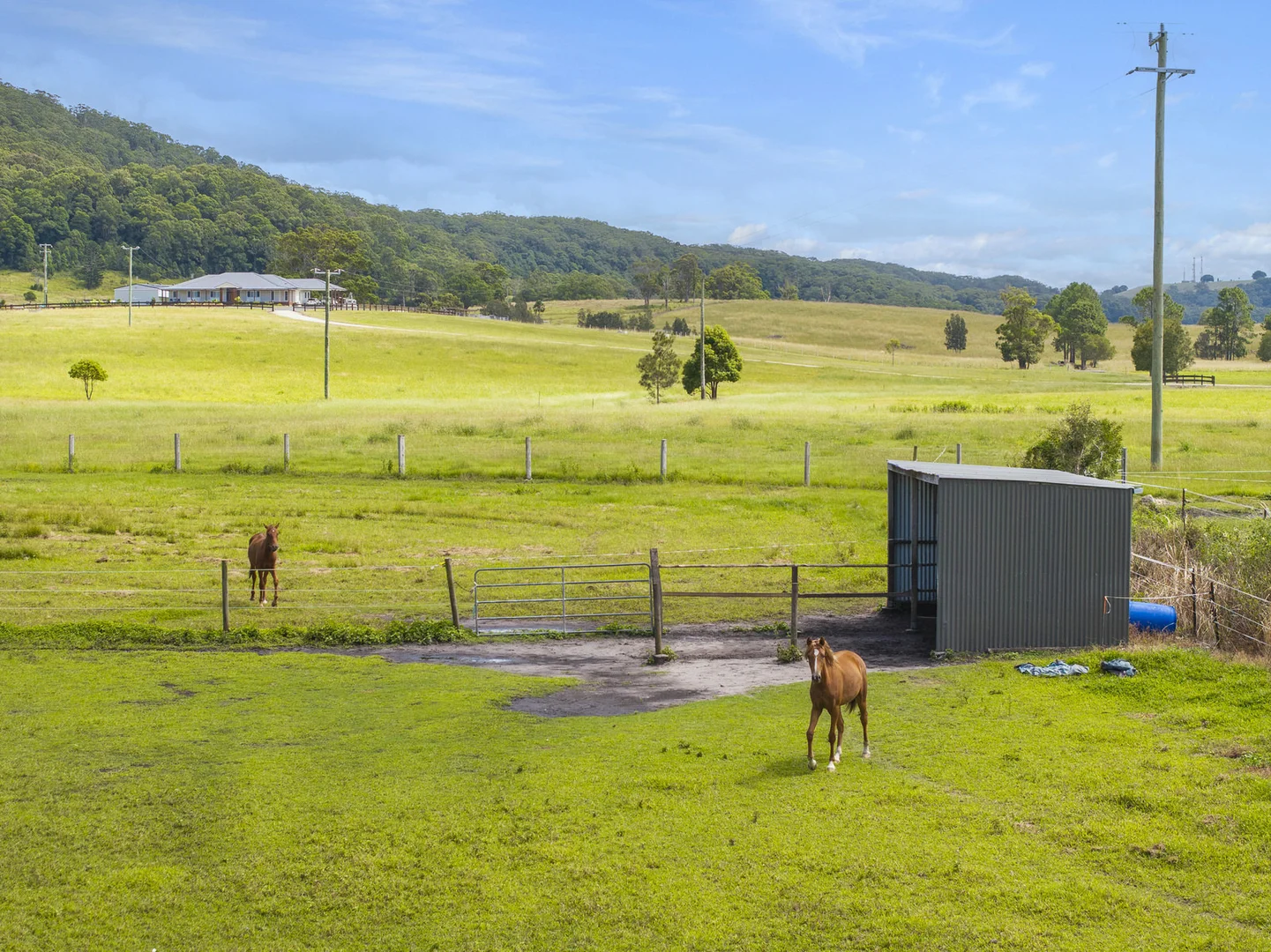 Additional image 29 of 406 Old Bagotville Road, Bagotville NSW 2477