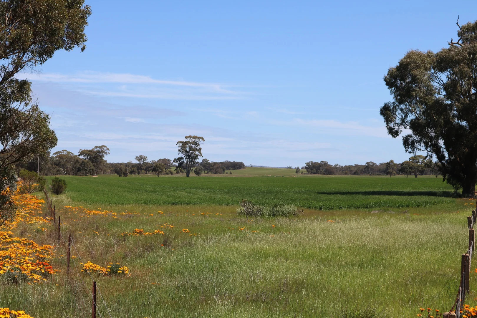 Additional image 9 of Maxwells Lane, Korong Vale VIC 3520