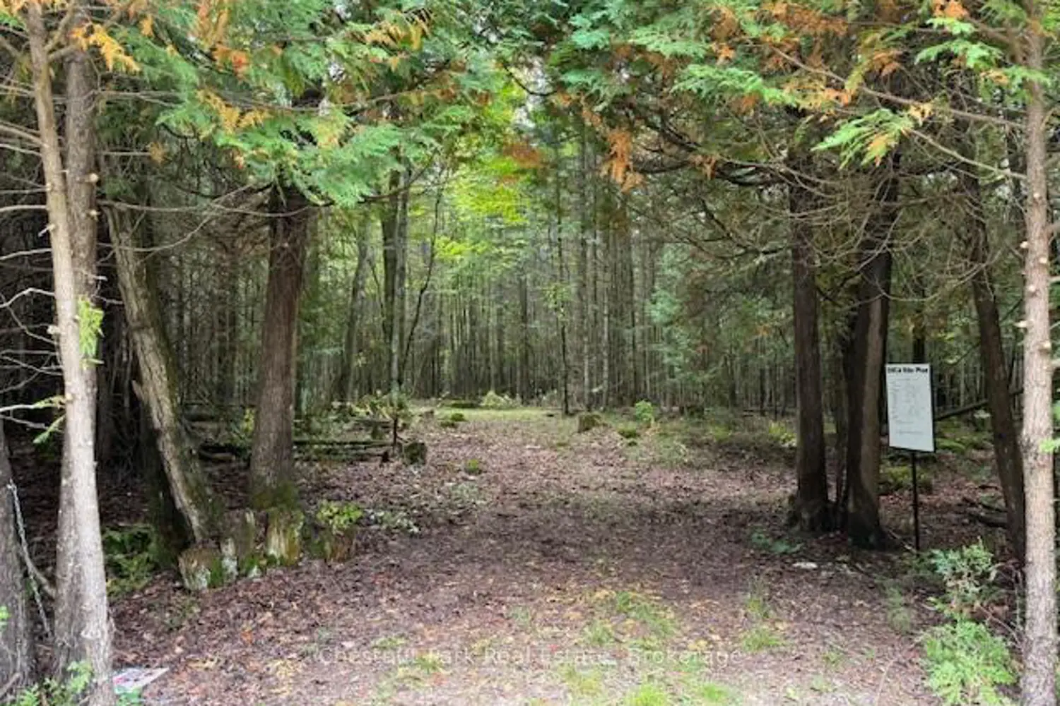 Additional image 5 of 596244 Concession 10