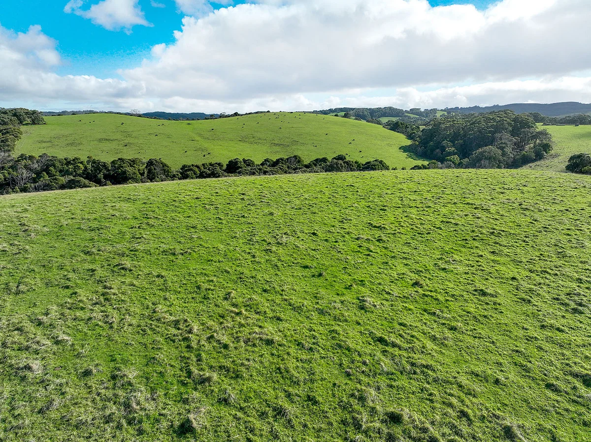 Additional image 12 of 105 Stafford Road, Johanna VIC 3238