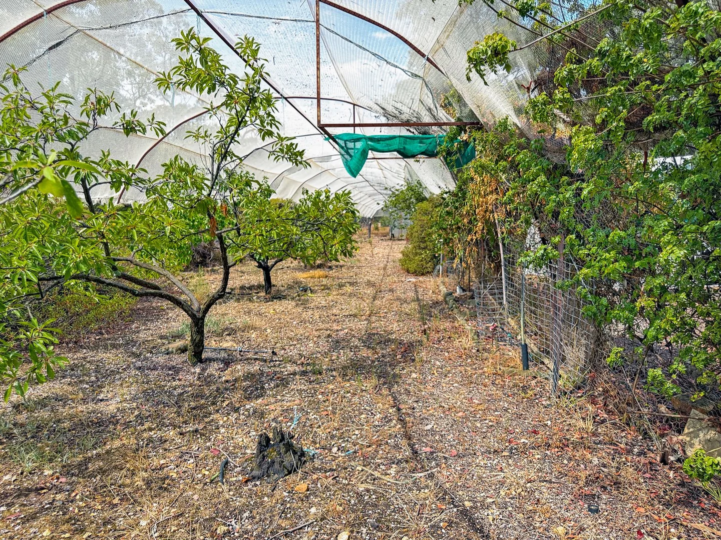 Additional image 25 of 554 Caralulup Road, Lamplough VIC 3352