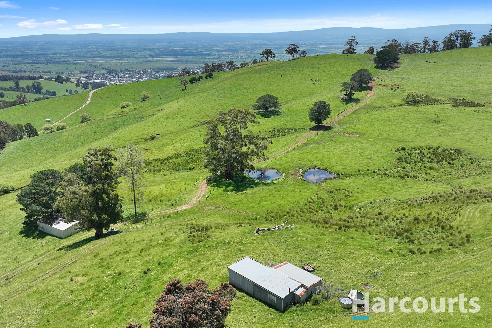 Additional image 14 of 1246 Trafalgar Thorpdale Road, Trafalgar South VIC 3824