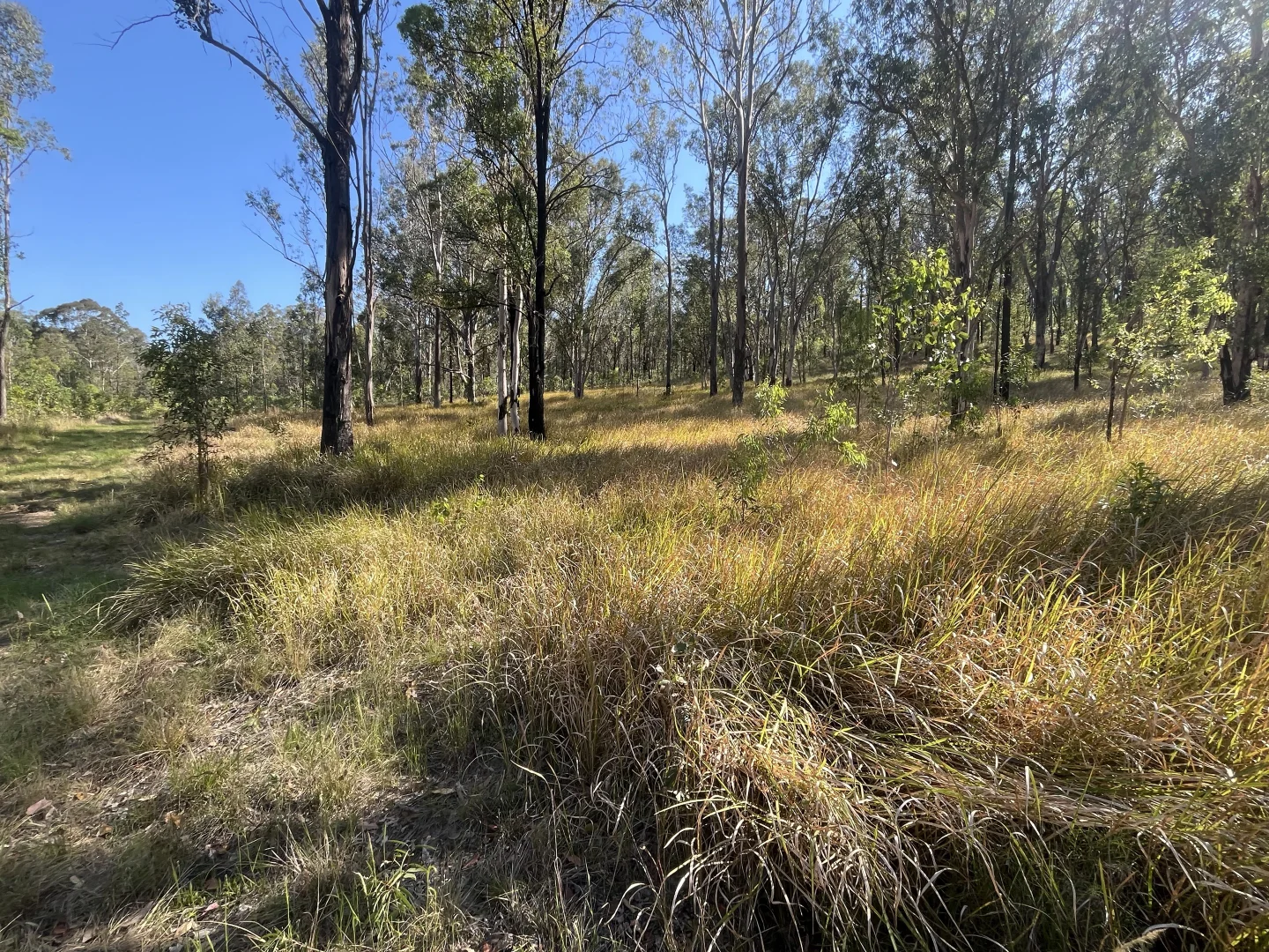 Additional image 3 of 2291 Willi Willi Rd, Moparrabah NSW 2440