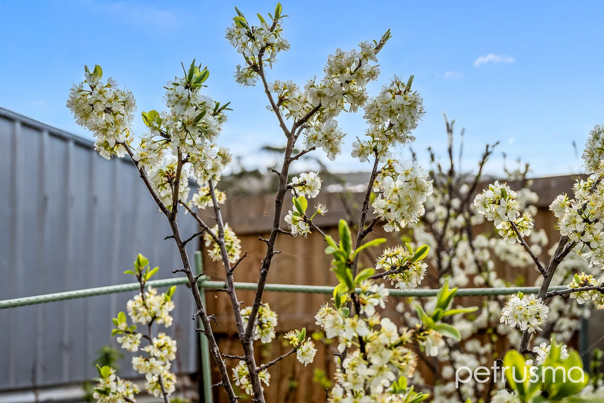 Additional image 20 of 609 Primrose Sands Road, Primrose Sands TAS 7173