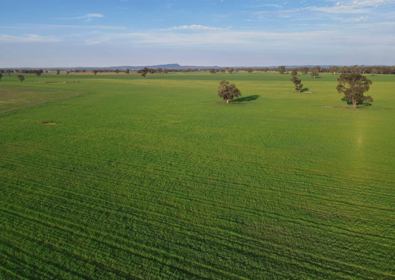 Additional image 14 of 11025 "Lima" The Escort Way, Forbes NSW 2871