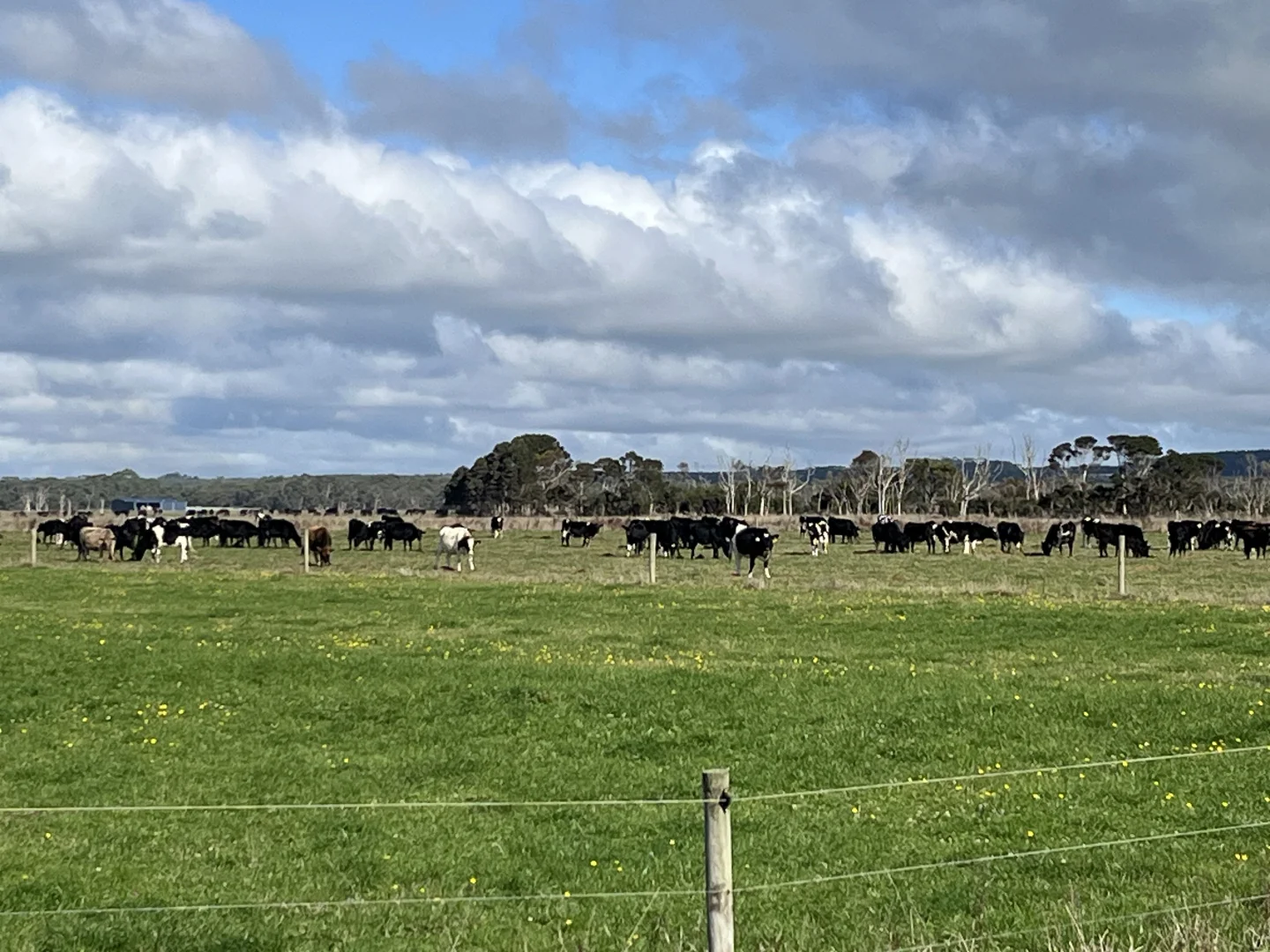 Additional image 2 of 129 & 131 Bens Hill Road, Montagu TAS 7330