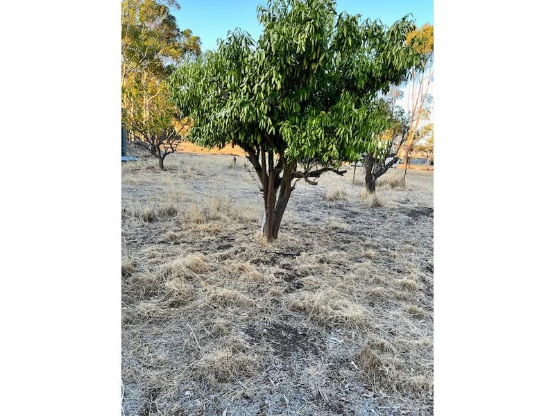 Additional image 22 of 964 Dobaderry Road, Beverley WA 6304